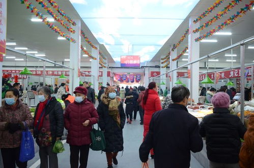 洛阳龙鳞路精品农贸市场 走进千家万户 温暖你我他