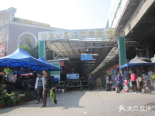 沙东甘园农贸综合市场小水产11档