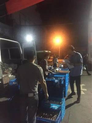 凌晨三点半,衢州农贸城鲜为人知的一幕.