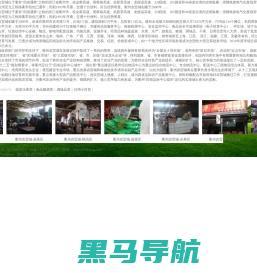 1377游戏平台