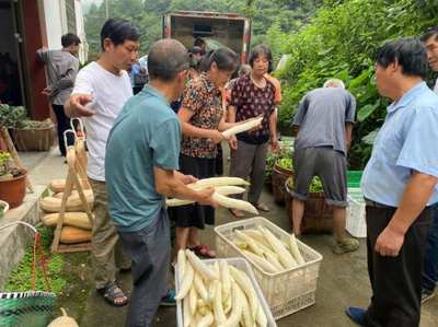 “三衢味”“消薄卡” …柯城多轮驱动助农驶上共富“快车道”