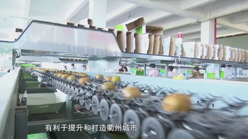 活力新衢州 美丽大花园 衢州 电商产业发展迅猛 农特产品销路拓宽