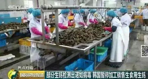 生蚝真的可以生吃吗