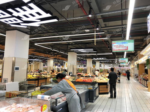 林鲲 五化 智慧农贸案例 精致烟火气 衢州白云未来市场获省局领导高度认可