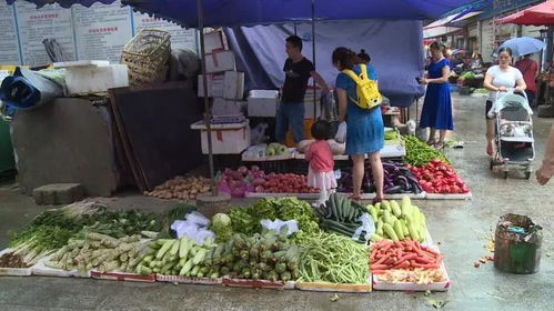 农产品快速检测设备成摆设 农贸市场使用不理想