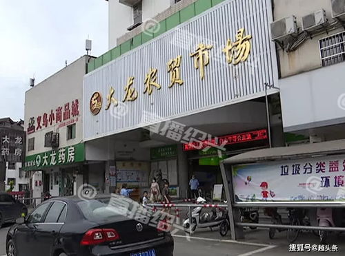一整桶鱼翻白肚 绍兴大龙农贸市场一水产摊,疑似遭人下药