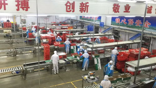 专业铸就辉煌,匠心酿造品质 博得财富私董会走进食品名城漯河
