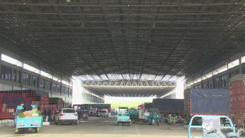 庐江市民请放心 有菜 不慌