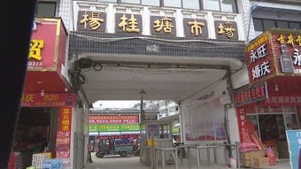 创城进行时 肥西农贸市场颜值大提升,文明经营齐点赞