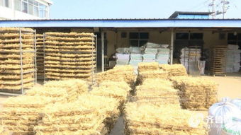 山东买菜去哪里 2018 年首批省级食品安全管理规范化农贸市场公示