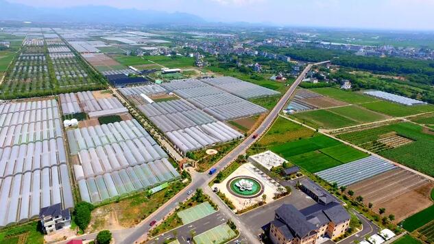 衢州农贸城早市已搬走90%,去新市场买吧~