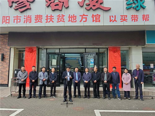 阜阳市消费扶贫地方馆揭牌仪式在阜阳商厦绿色食品城举行
