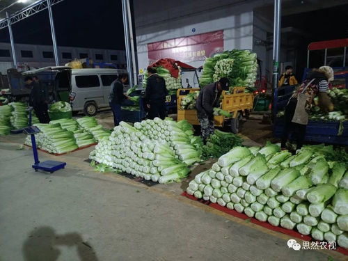 南宁金陵东盟农贸城12月23日农产品行情
