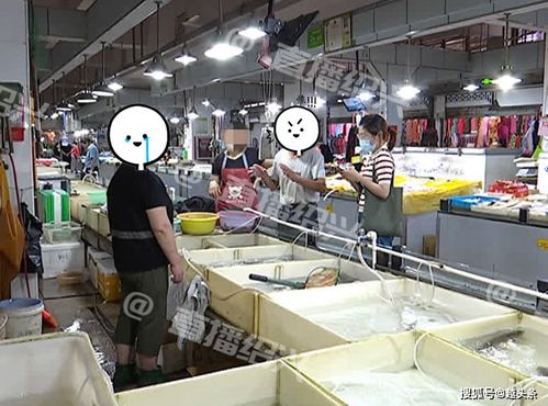 绍兴大龙农贸市场水产摊惊现整桶鱼翻白肚，疑似遭人恶意下药，衢州农贸城事件引发关注