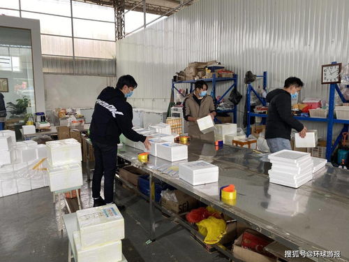 快递进村，衢州农贸城为乡村振兴插上“云翅膀”