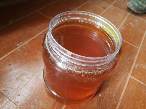 城市发展新动态 绿化条例更新与基建进展